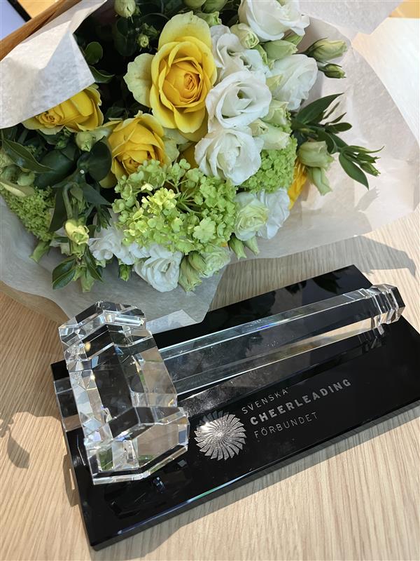 Sammanfattning av årsmötet 2026