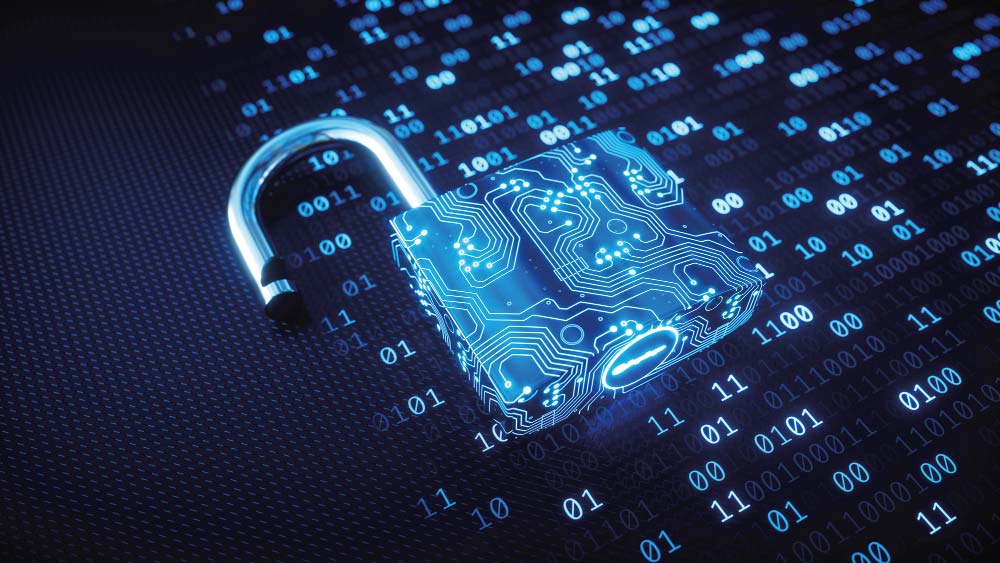 Förbundets projekt inom digitalisering